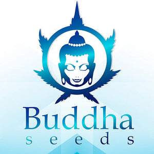 Buddha Seeds logo