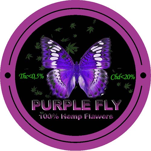 Purple Fly