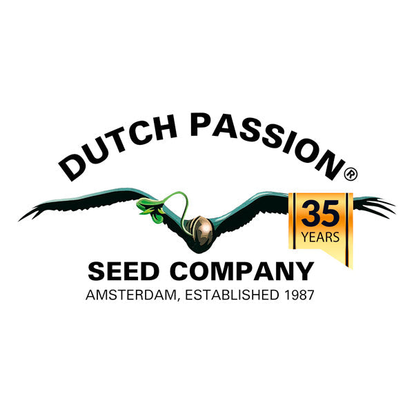 Dutch Passion