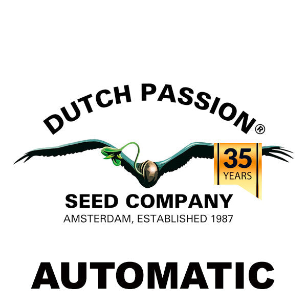 Dutch Passion Auto
