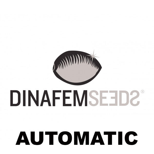 Dinafem Seeds Auto