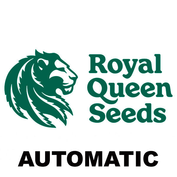 Royal Queen Seeds Auto