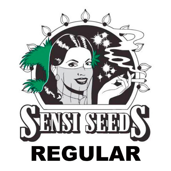 Sensi Seeds Regolari